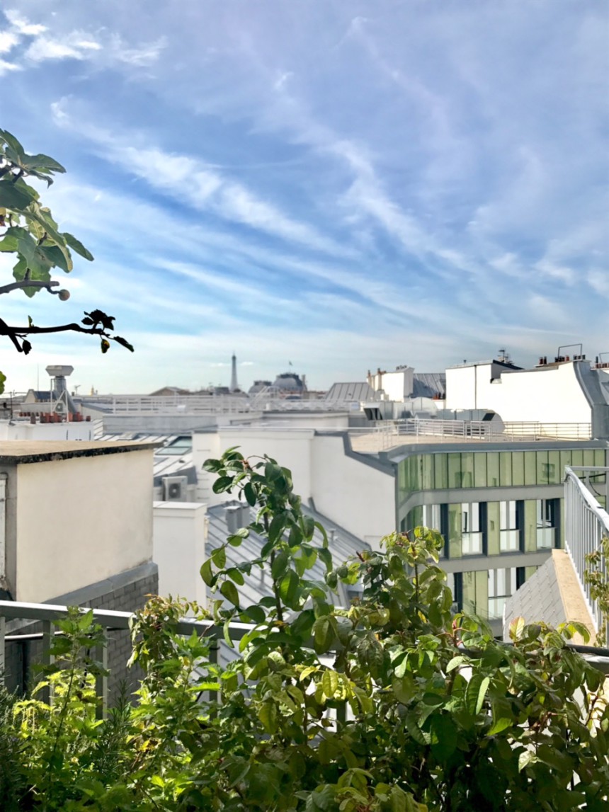 MEUBLÉ – Penthouse – 2 chambres – 127 m2 + Terrasse 29 m2 – Paris 1er Village du Louvre – 5ème étage ascenseur –  Loyer charges comprises : 5.950 euros