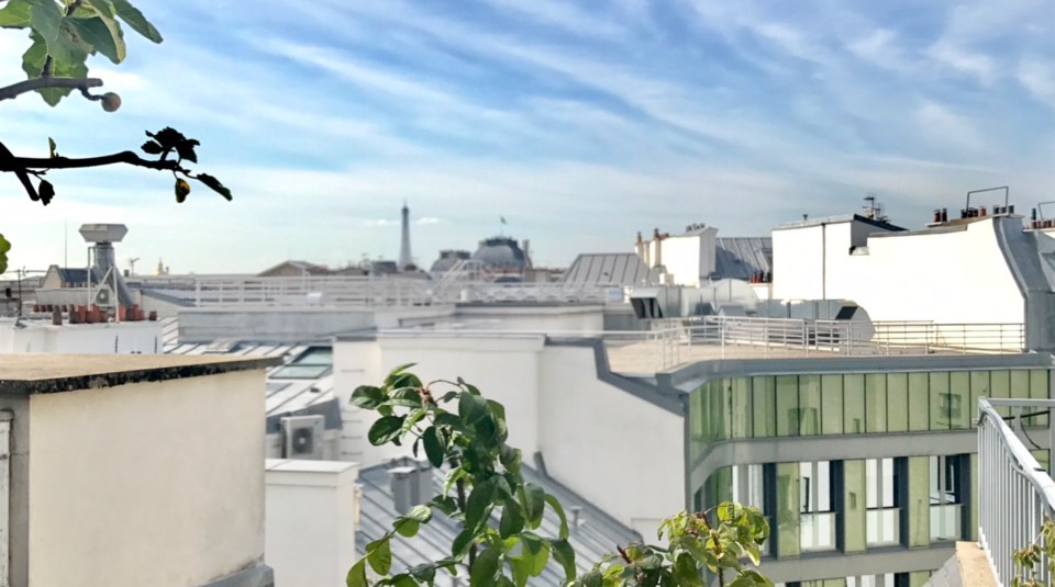 MEUBLÉ – Penthouse – 2 chambres – 127 m2 + Terrasse 29 m2 – Paris 1er Village du Louvre – 5ème étage ascenseur –  Loyer charges comprises : 5.950 euros
