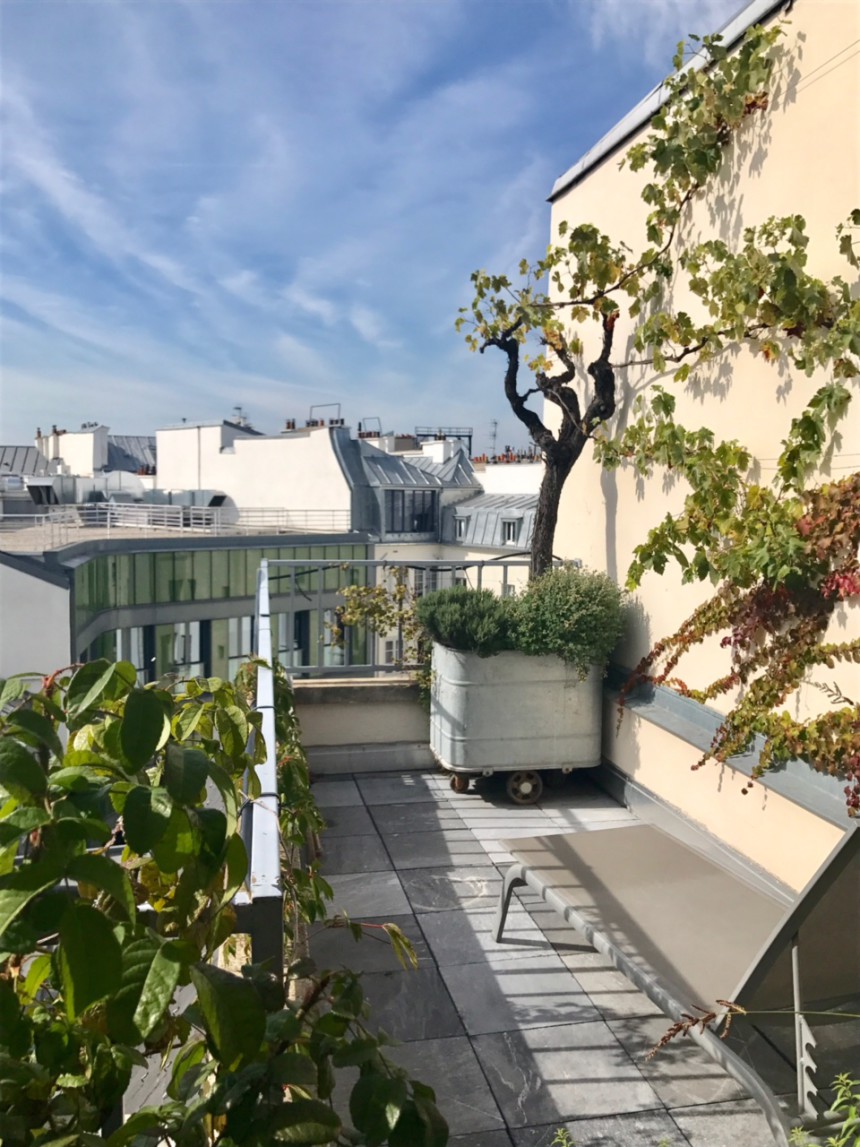 MEUBLÉ – Penthouse – 2 chambres – 127 m2 + Terrasse 29 m2 – Paris 1er Village du Louvre – 5ème étage ascenseur –  Loyer charges comprises : 5.950 euros