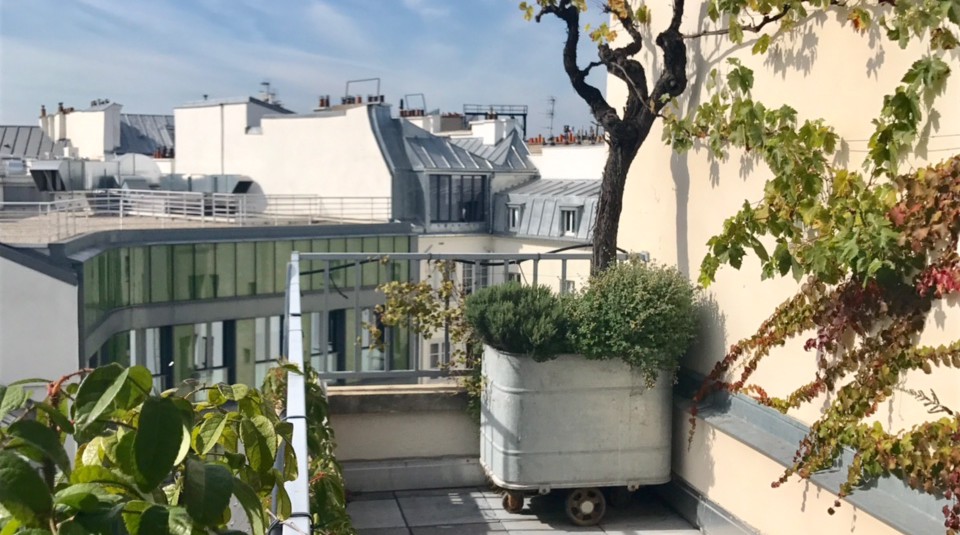 MEUBLÉ – Penthouse – 2 chambres – 127 m2 + Terrasse 29 m2 – Paris 1er Village du Louvre – 5ème étage ascenseur –  Loyer charges comprises : 5.950 euros