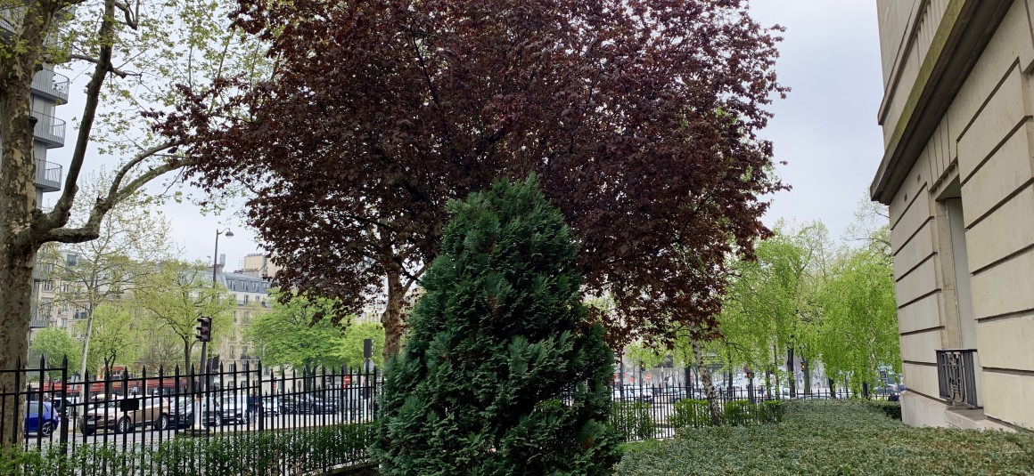 REFAIT NEUF – MEUBLÉ – 2 ch – 91 m2 + Poss Pkg – Paris 16e – Bld Suchet/Auteuil – Loyer cc : 2.950 €