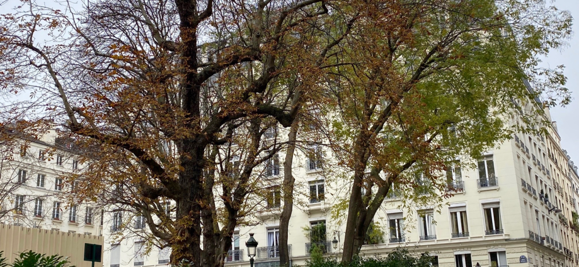 MEUBLÉ – 1 ch – Paris 2ème – 48 m2 – Rue Lulli (Square Louvois) – 2ème étage ascenseur – Loyer cc : 1.980 € (chauffage eau chaude collectif)