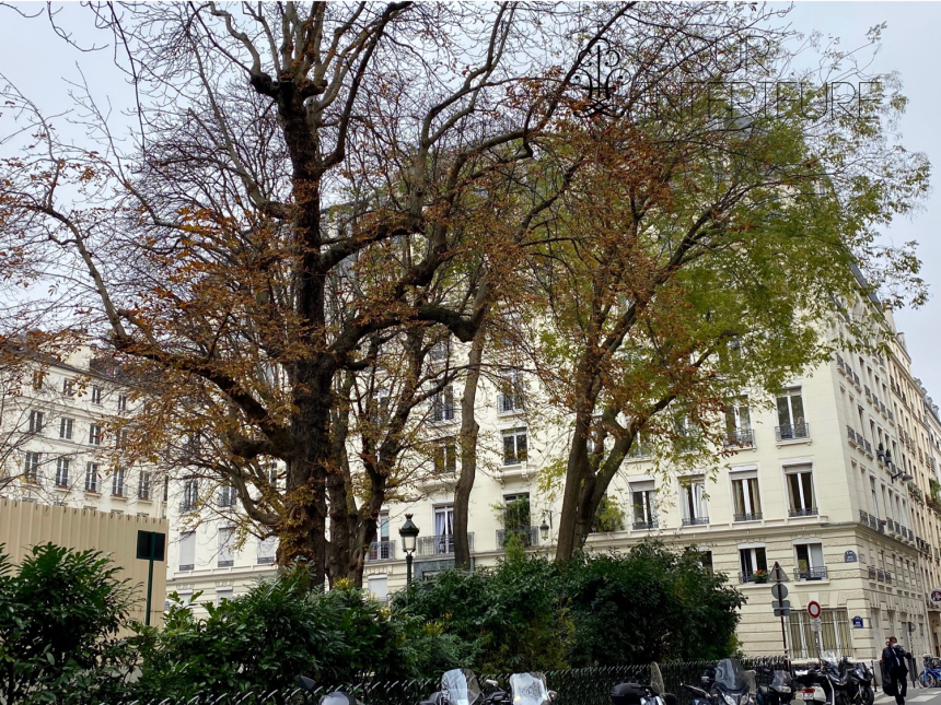 MEUBLÉ – 1 ch – Paris 2ème – 48 m2 – Rue Lulli (Square Louvois) – 2ème étage ascenseur – Loyer cc : 1.980 € (chauffage eau chaude collectif)