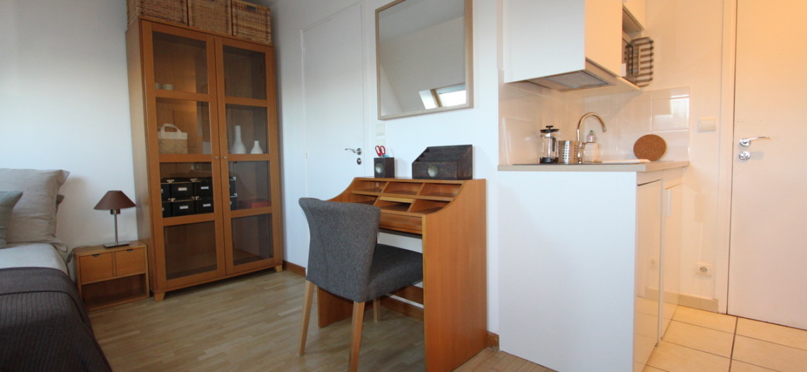 IMG_9879 MEUBLÉ – STUDIO avec grand lit double – Paris 17ème – Rue Gounod – 20 m2 au sol – 6ème étage avec ascenseur – Loyer cc : 1.000 euros Internet inclus