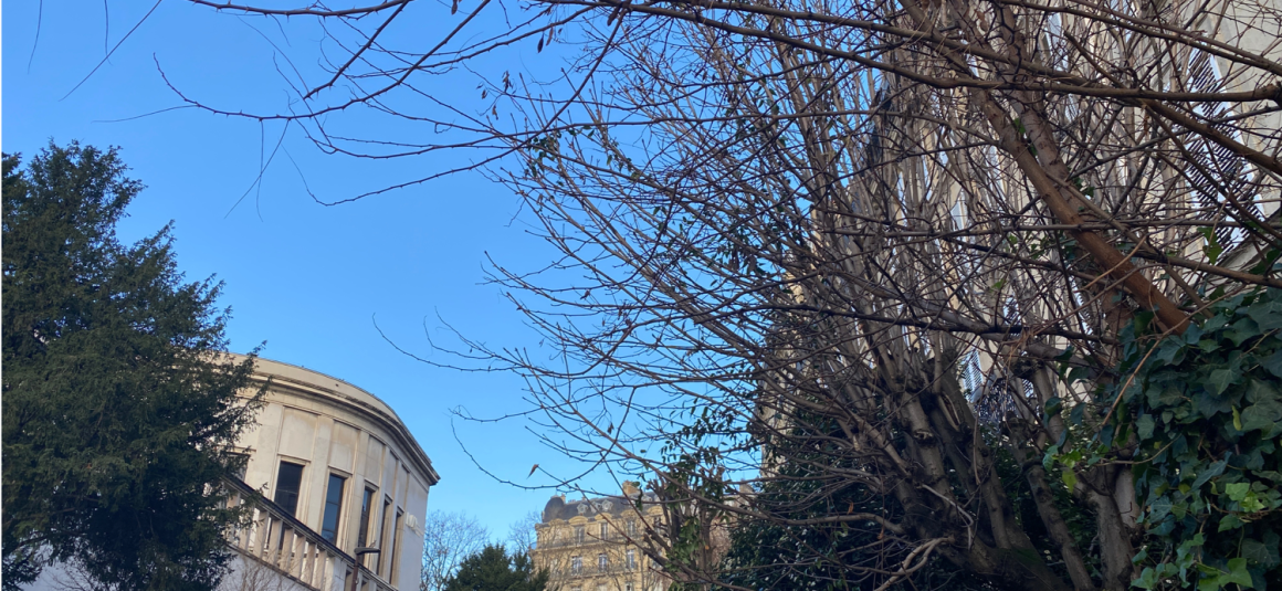 LOCATION VIDE – RÉFECTION TOTALE – VUE TOUR EIFFEL – 2 chambres – Paris 16ème – ALMA MARCEAU – 75 m2 – 4ème étage avec ascenseur – Loyer charges comprises : 3.000 € (dont 250 € provisions pour charges) PARKING dans l’impasse compris