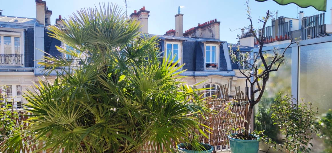 MEUBLÉ – Duplex 3 chambres de 90 m2 + Terrasse environ 26 m2 – Paris 15ème – Rue Théodore Deck – 5ème et dernier étage ascenseur – Loyer charges comprises : 3.246 €