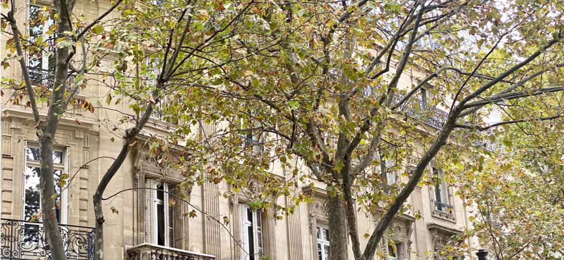 VIDE – Exceptionnel Haut Standing  – 2 chambres – Place Saint Michel – PARIS 6ème – 92 m2 – Balcon filant – 4ème étage avec ascenseur – Loyer charges comprises : 3.700 euros