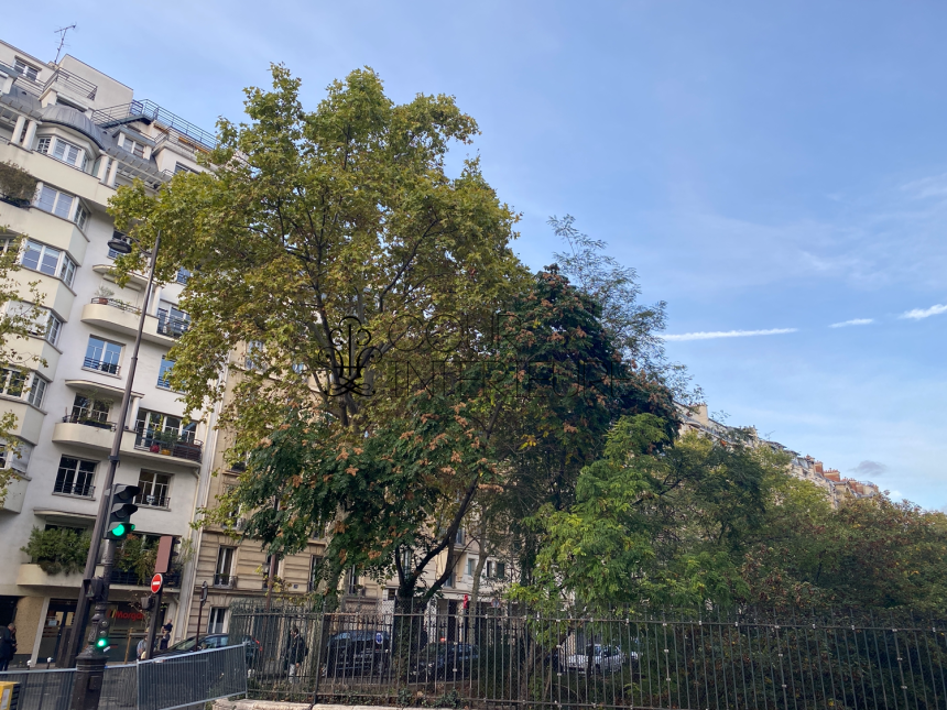 VIDE – 2 chambres – 72 m2 – Paris 17ème – Bld Pereire / quartier Wagram Levis – 2ème étage ascenseur – Loyer charges comprises : 2.580 euros